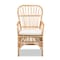 Baxton Studio Aya Modern and Contemporary Natural Finished Rattan Armchair 185-11880-Zoro - alternate 5